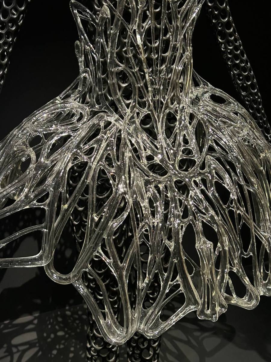 Exposition Iris van Herpen La mode avantgarde qui fusionne art — free download